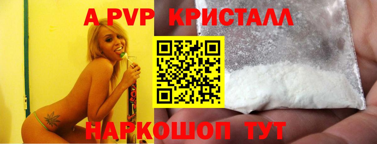 A PVP СК Орёл