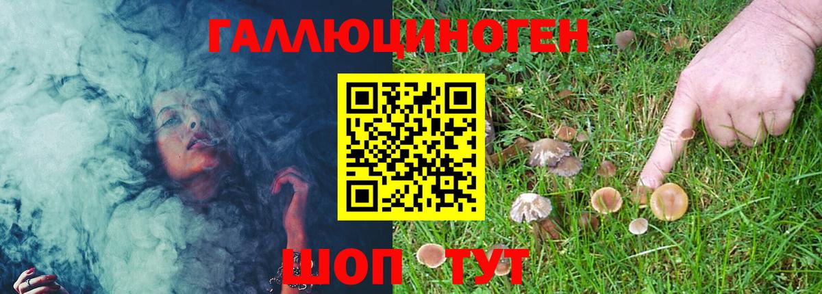 Орёл  купить  сайты  Вход с VPN  Галлюциногенные грибы Psilocybine cubensis 