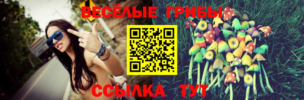 Псилоцибиновые грибы Psilocybe Орёл